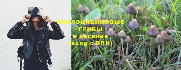 таблы Аркадак